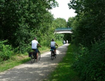 Chemin des Roses