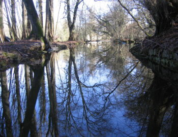 Domaine de la Salle à Féricy