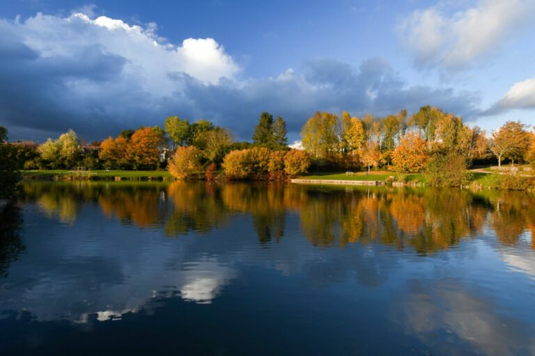 Parc Sainte-Reine