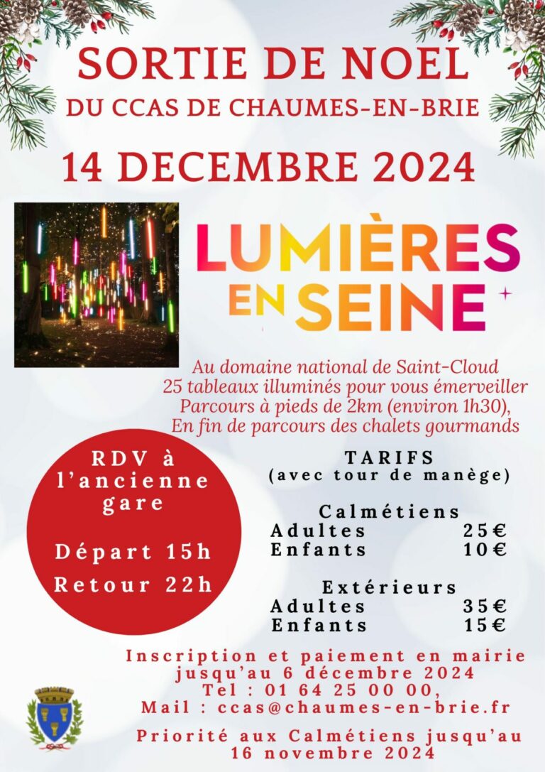 Sortie de Noël du CCAS de Chaumes-en-Brie_Chaumes-en-Brie