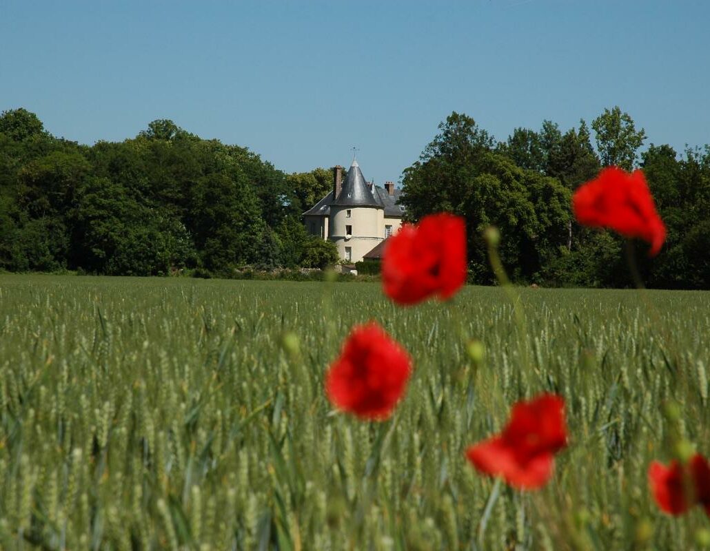 Château de Courtry – Entrée de droite