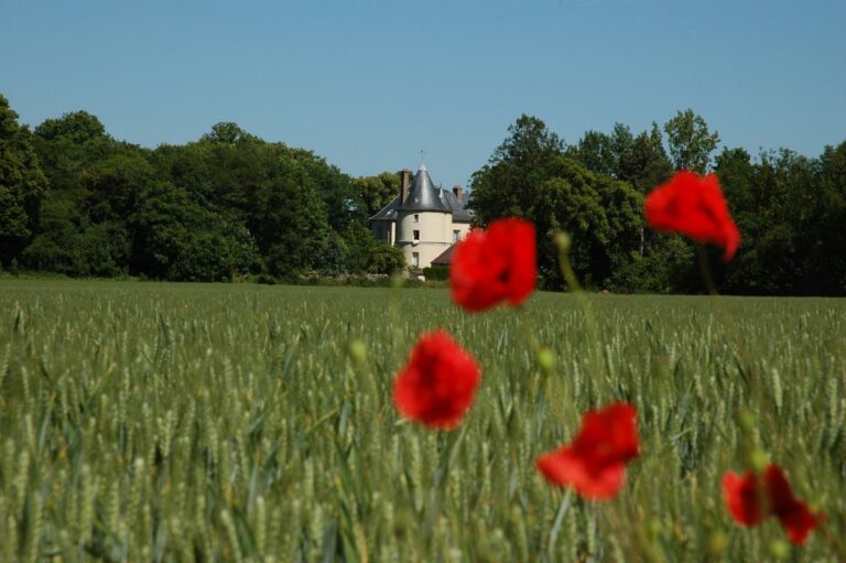 Château de Courtry – Entrée de droite