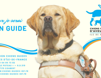 Association des Chiens Guides d'Aveugles Île-de-France_Coubert