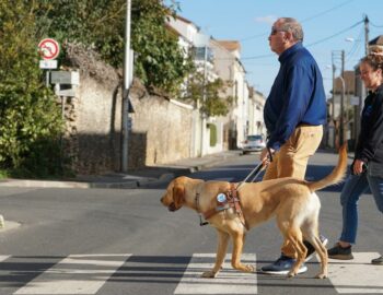 Association des Chiens Guides d'Aveugles Île-de-France_Coubert